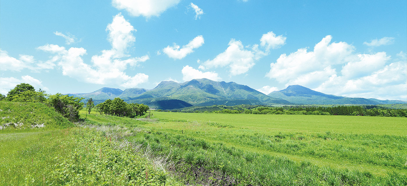 くじゅう連山の採水地で汲み上げたミネラルウォーター