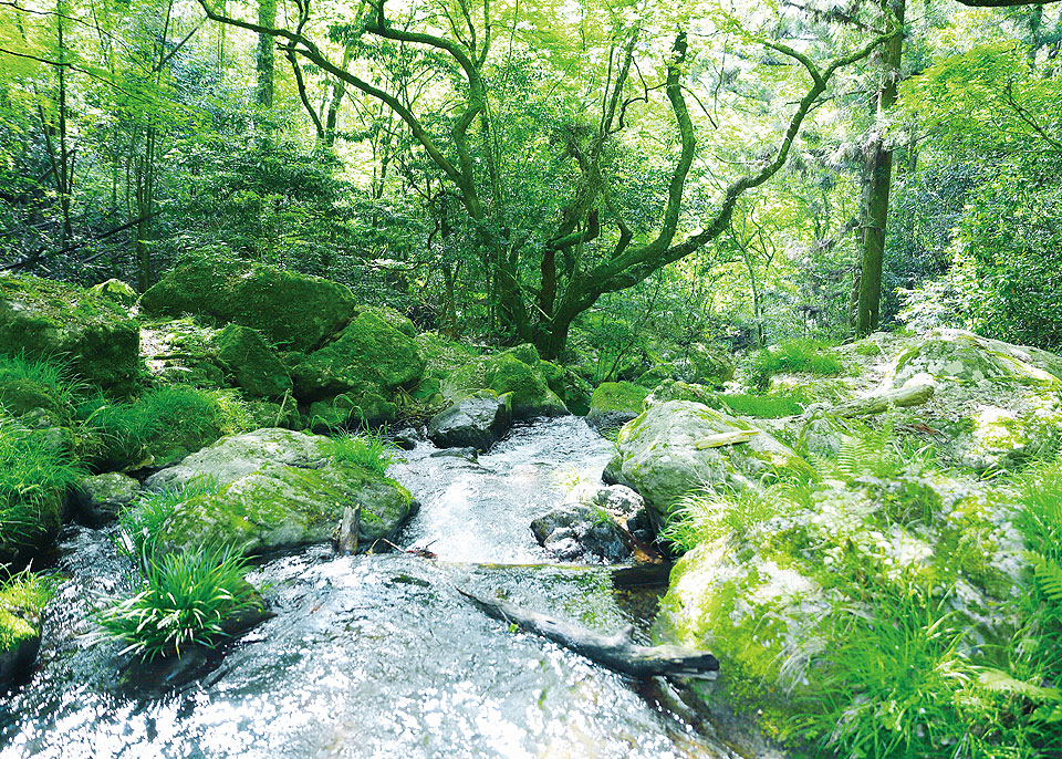 「九州のアルプス」とも呼ばれるくじゅう連山の採水地image