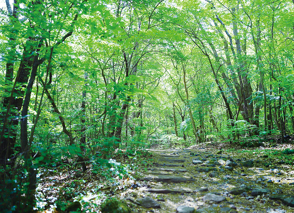 清水瀑園image